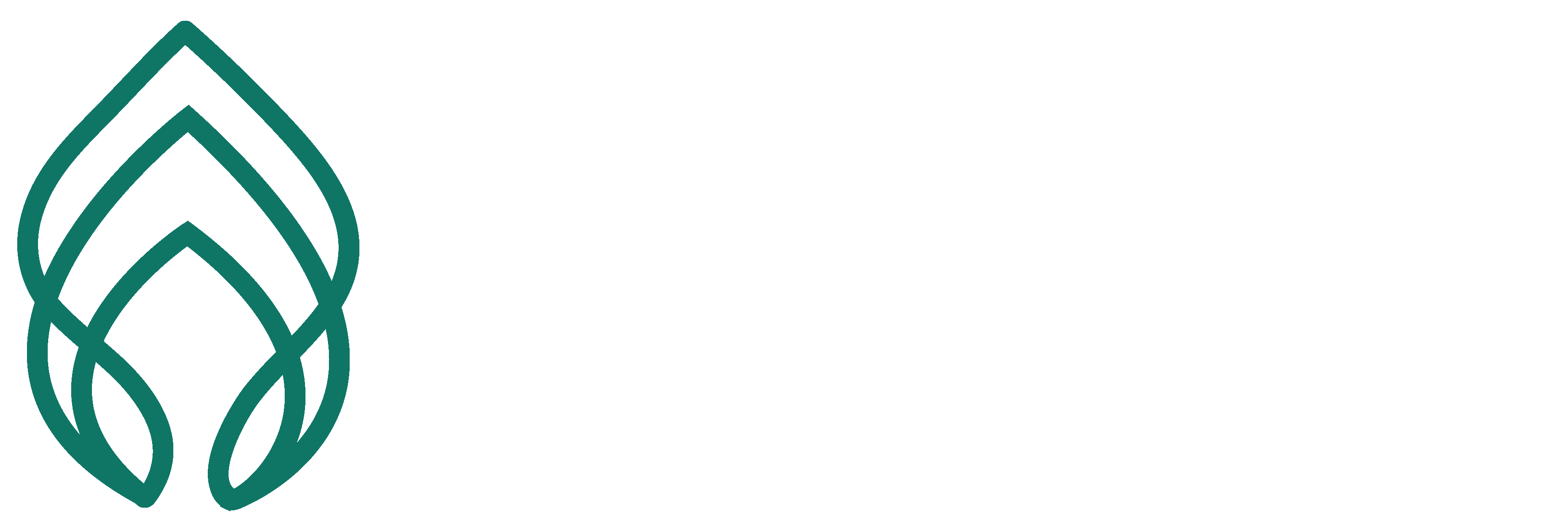 medina valley logo 1